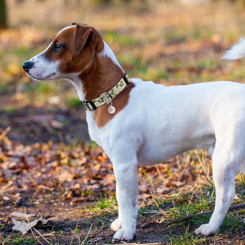 CHEDE Cotton Dog Collar for Small Medium Large Dogs,Girl Dog Collar with Quick-Release Buckle ,Flowers Soft Adjustable Pet Collar Green Daisy - BeesActive Australia
