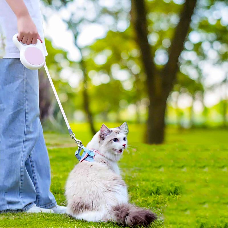 LFCXHTY Retractable Dog Leash, 10 Ft/16 Ft Durable Pets Walking Leash for Small Medium Large Dogs or Cats up to 220 LB, One Button Brake, Pause, Lock Purple - BeesActive Australia