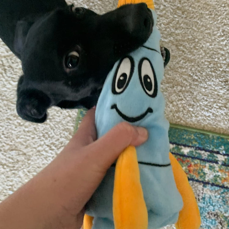 Snuggle Puppy Tender-Tuffs Quiet Bottle Cruncher Plush Dog Toys Bundle - Whisper Rabbit and Rocco Rocket Bottle Toys - Tough Cute Toys with No Squeaker - BeesActive Australia