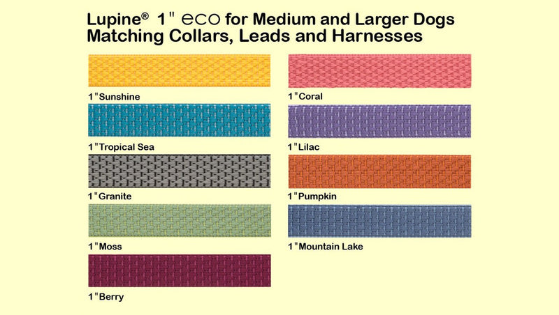 LupinePet Eco 1" Berry for Medium to Large Dogs Collar - 1"W; 12-20" Neck - BeesActive Australia