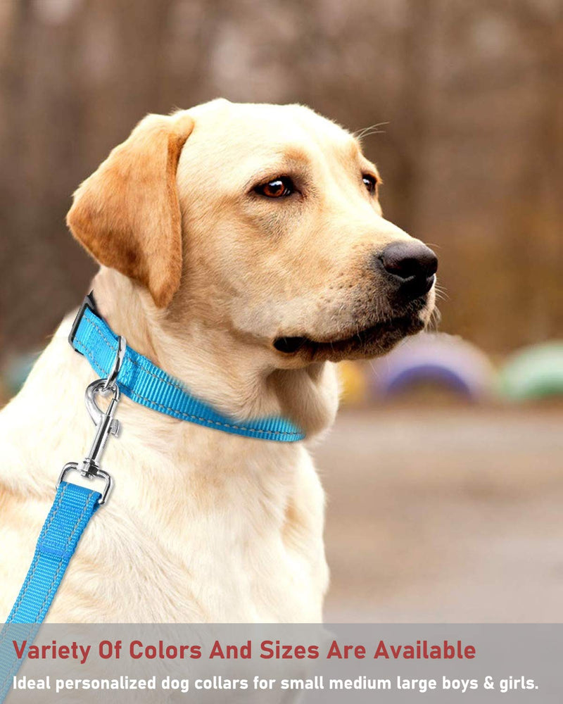 Reflective Dog Collar with Safety Locking Buckle, Adjustable Soft Neoprene Padded Breathable Nylon Pet Collar for Small Medium Large Dogs, 4 Sizes Sky Blue Small :Width 5/8",Neck 10-14" - BeesActive Australia