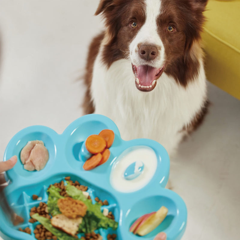 PetDreamHouse PAW Feeder Interactive Bowl for Dogs, Puppies or Cats Plate Food Treats Controls Fast Eating Anti Bloating - Blue - BeesActive Australia