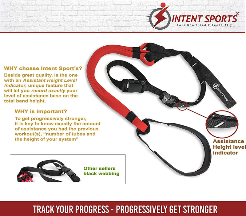 INTENT SPORTS Pull Up Assist Bands - Assistance and Resistance Bands for Pull-Up, Fitness, Body Stretching, Mobility Work, Weightlifting, Powerlifting, Heavy Duty, Exercise Videos, eBook (Patented) #1 Band - BeesActive Australia
