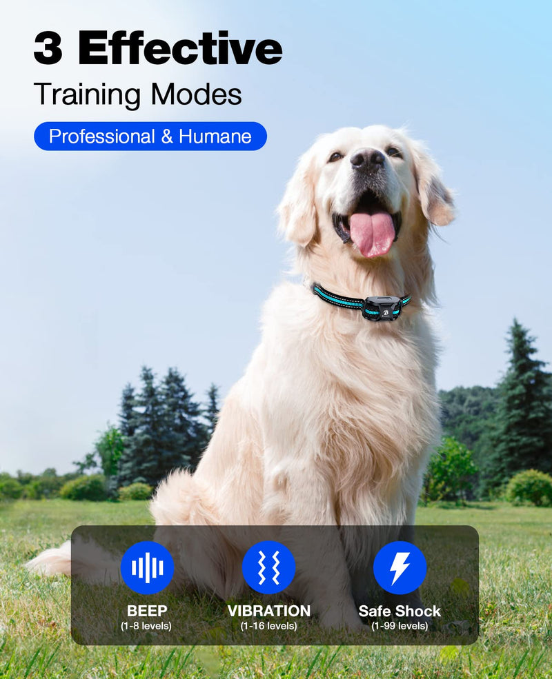 Bousnic Dog Shock Collar - 3300Ft Dog Training Collar with Remote for 5-120lbs Small Medium Large Dogs Rechargeable Waterproof e Collar with Beep (1-8), Vibration(1-16), Safe Shock(1-99) Modes (Blue) - BeesActive Australia