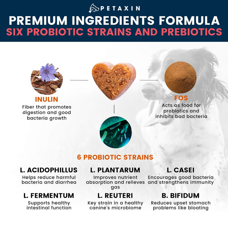 Petaxin Probiotics for Dogs - 6 Strains with Prebiotics - Supports Digestive and Immune System – Relief for Diarrhea, Bad Breath, Allergies, Gas, Constipation, Hot Spots - Made in USA - 120 Chews 1 Pack_120 Chews - BeesActive Australia