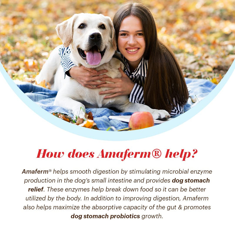 Vitalize Alimend K9 - Dog Upset Stomach Relief for Nausea, Vomiting & Diarrhea - 6 Oz - BeesActive Australia