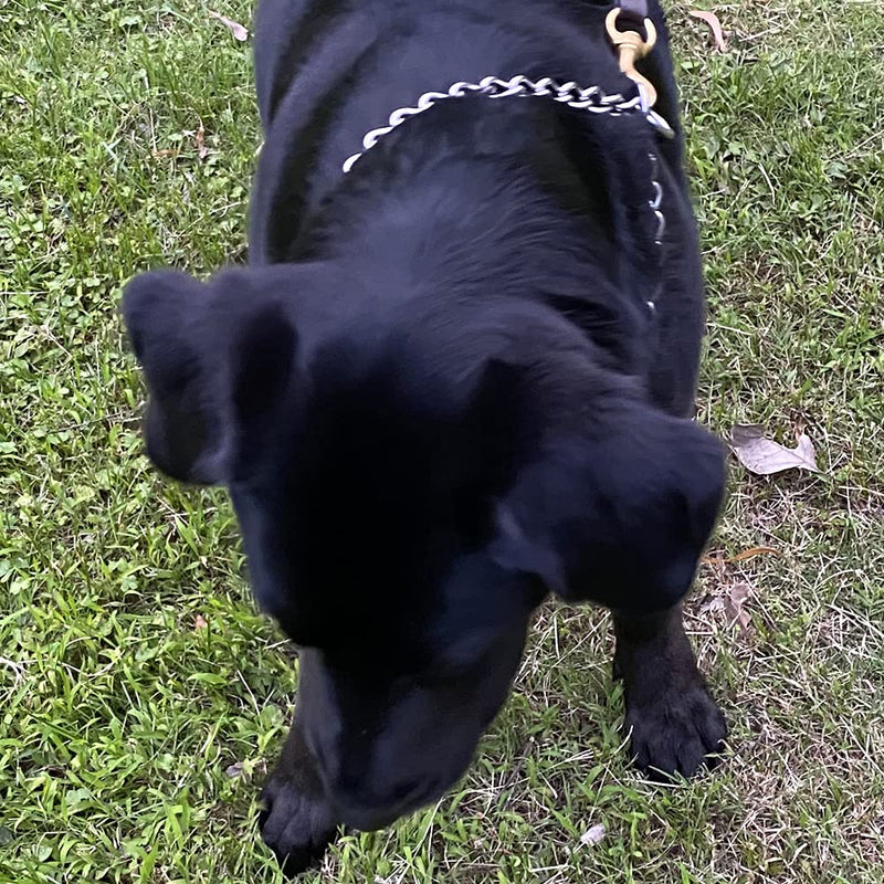 UPASCON Chain Dog Training Choke Collar,Adjustable and Durable,5, to Fit Small Medium and Large Dogs 16" - BeesActive Australia