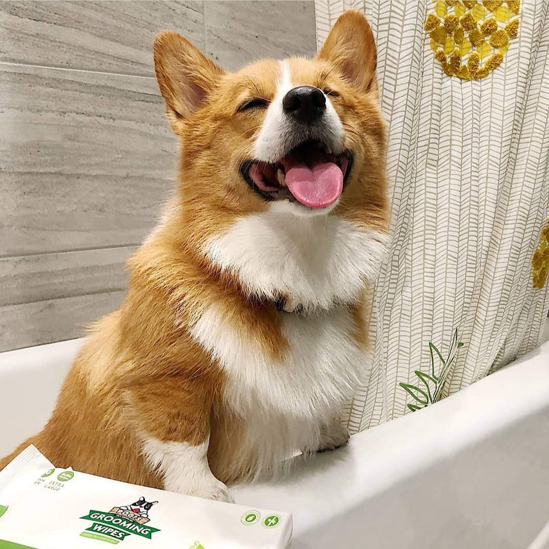 Pogi's Grooming Wipes Home & Travel Bundle - 100-Count Grooming Wipes for Home and 240-Count Packs for Travel - BeesActive Australia