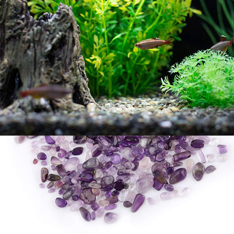 Wifehelper Tumbled Stone Chips Crushed Natural Crystal Quartz Small Crystal Tumble Gemstone 100g Bundle Bags(Purple) Purple - BeesActive Australia