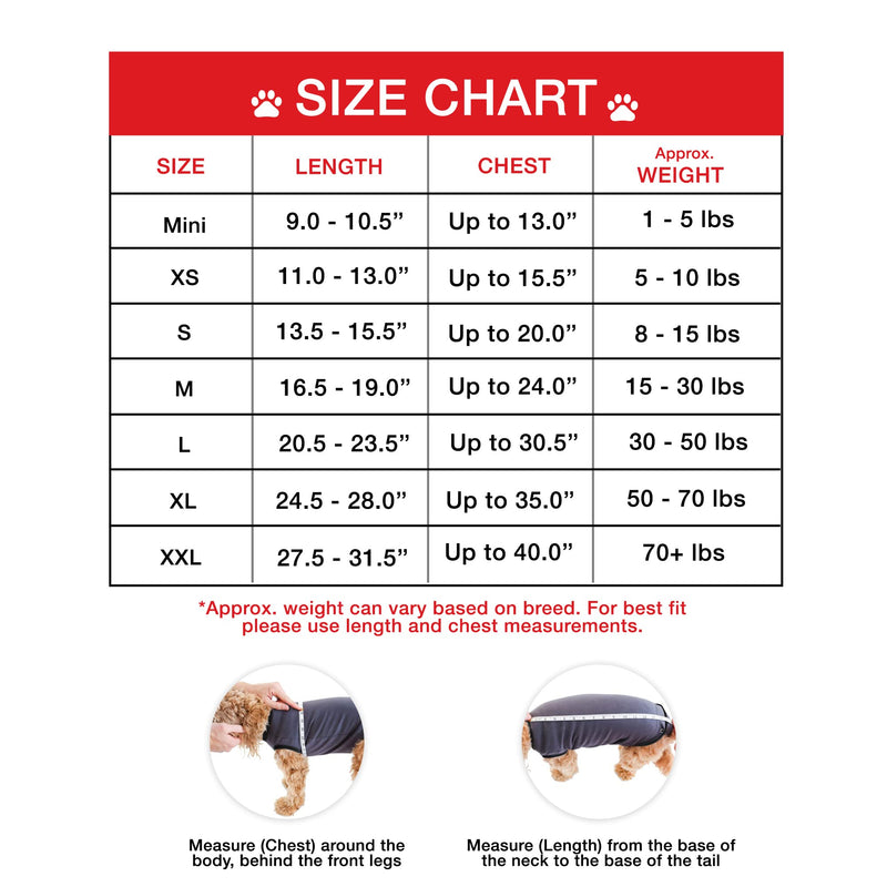 BellyGuard - After Surgery Dog Onesie, Recovery Suit for Dogs, Comfortable Substitute for Cone for Dogs After Surgery,Dog Recovery Suit with Stretch-Fit Cotton Material and Adjustable Rear Flap Medium Grey - BeesActive Australia