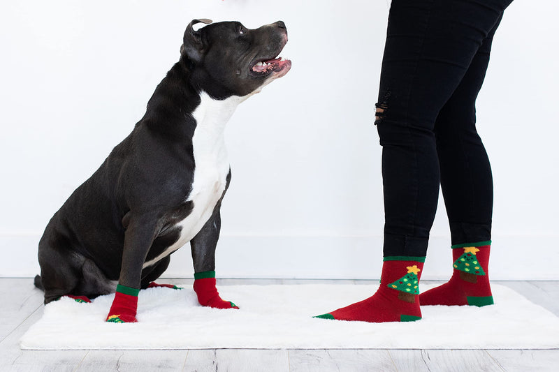 Pearhead Matching Human and Dog Apparel, Christmas Socks Set for dog and Owner, Green and Red Christmas Tree Dog Socks and Adult Socks Christmas Tree Human & Dog Sock Set - BeesActive Australia