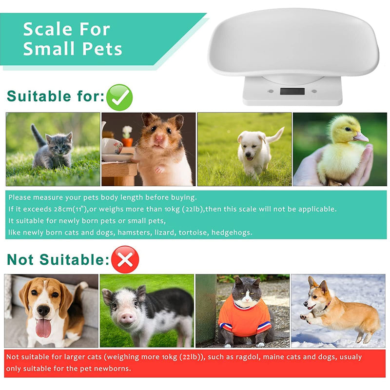 Qulable Digital Small Animals Scale with Tape Measure, Weigh Your Kitten, Rabbit, or Puppy with High Precision, Multi-Function Electronic Scales for Small Dogs Cats Crawl Pet (Pet Scale) White - BeesActive Australia