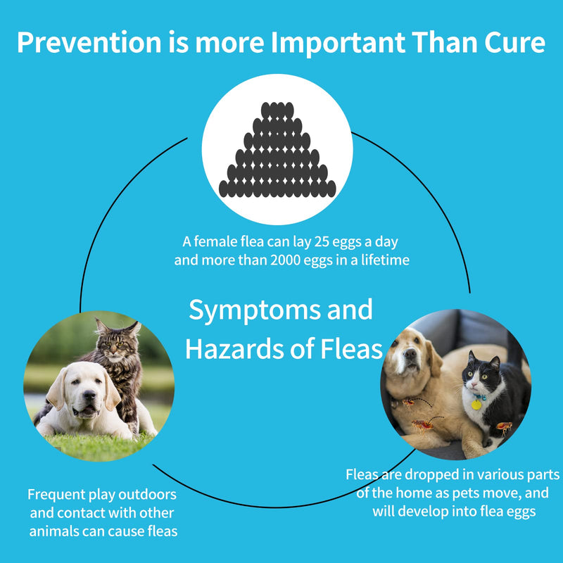 Flea and Tick Prevention for Dogs, Dog Flea & Tick Control with Fipronil, Long-Lasting and Fast-Acting Topical Flea & Tick Treatment Drops for Dogs, 3 Doses 5-22lbs Dogs - BeesActive Australia
