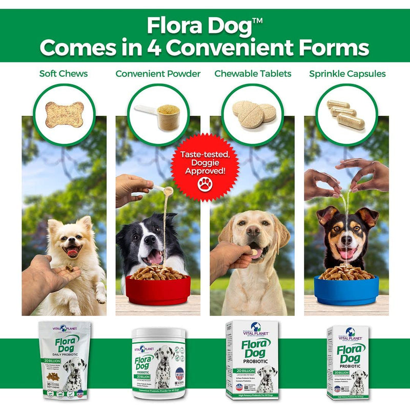 Vital Planet - Flora Dog - High Potency, Multi Strain Probiotic Formula for Dogs 30 Servings - BeesActive Australia