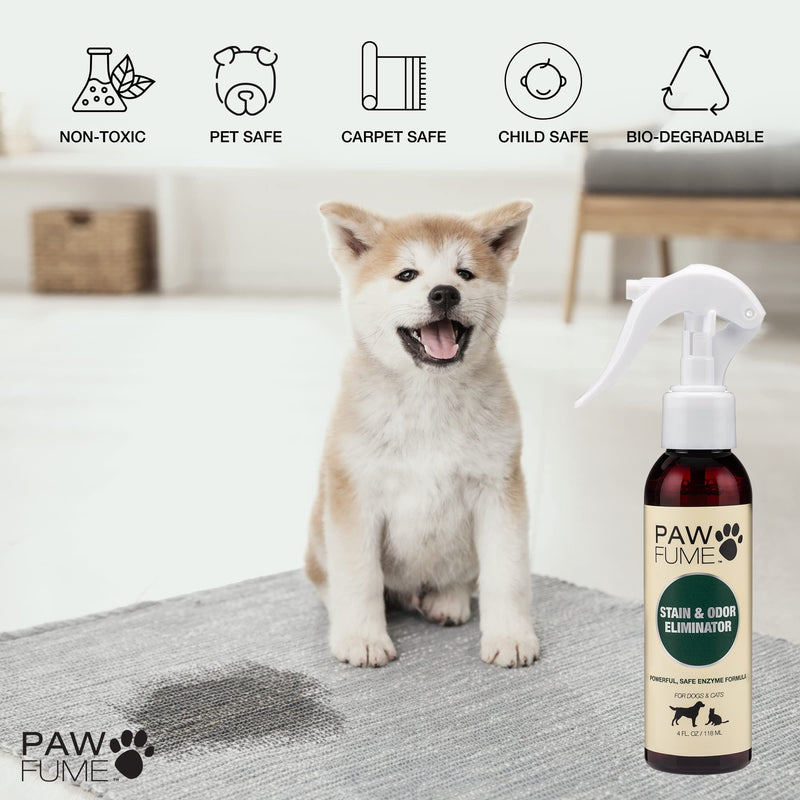 PAWFUME Stain & Odor Eliminator Pet Urine Enzyme Cleaner - Enzymatic Cleaner for Dog Urine Enzyme Cleaner - Cat Pee Enzyme Cleaner & Pet Stain and Odor Remover - Enzyme Cleaner for Cat Urine (4oz) Pack of 1 - BeesActive Australia