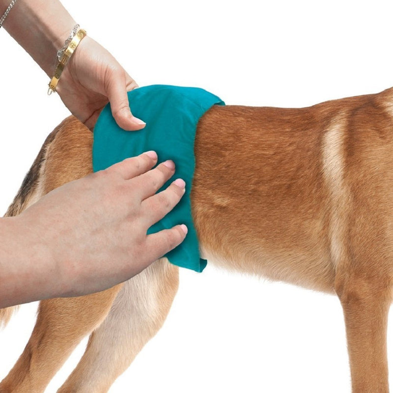 Simple Solution Washable Male Dog Diapers | Absorbent Male Wraps with Leak Proof Fit | Excitable Urination, Incontinence, or Male Marking | 1 Reusable Dog Diaper Per Pack Medium - BeesActive Australia