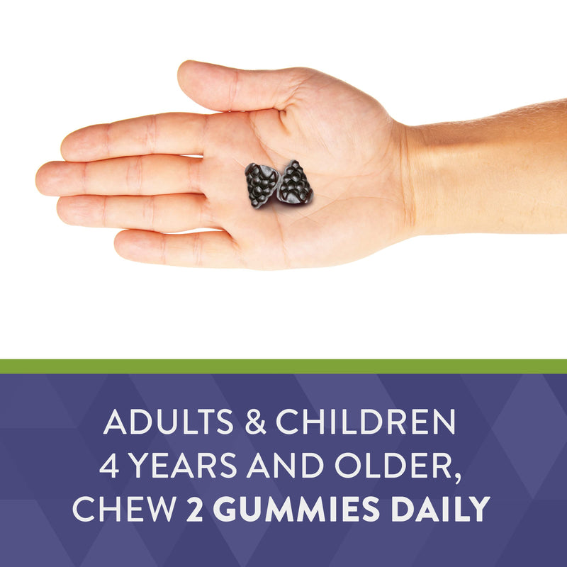 Nature’s Way Sambucus Elderberry Gummies, With Vitamin C, Vitamin D and Zinc, Immune Support for Kids and Adults*, 60 Gummies (Packaging May Vary) 60 Count (Pack of 1) - BeesActive Australia