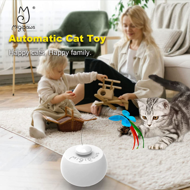 Migipaws Tunnel Cat Toys, Kitten Indoor Addict Interactive Movie with Automatic Butterfly Shadow Play, Innovation Pet Carton Box Toy, Rechargeable Butterfly cat toy - BeesActive Australia