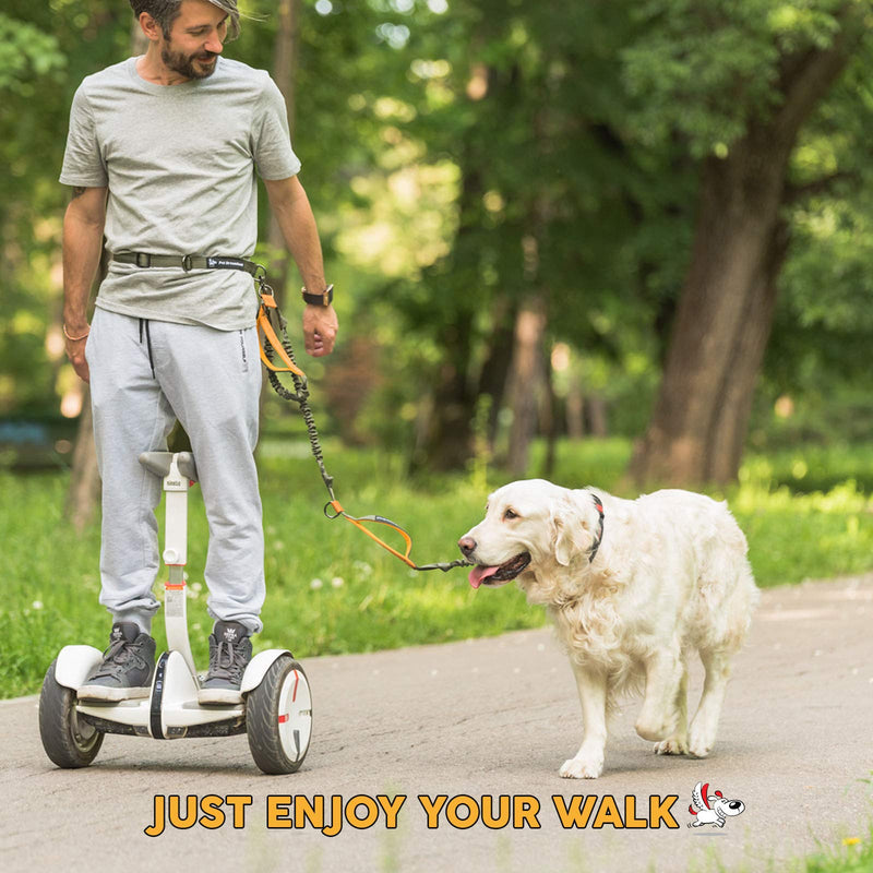 Hands Free Dog Leash for Running | Waist Leash for Walking, Hiking, Cycling and Training w. Adjustable Belt and Retractable Bungee Leash for Medium and Large Pet | Professional Lead Walker Harness Khaki & Orange Large Dog (35-150 lbs) - BeesActive Australia