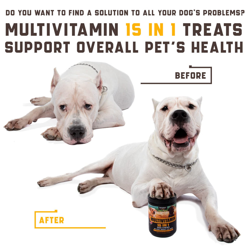 15-in-1 Dog Multivitamin Supplements - Immunity, Digestion, Joint and Heart Health Support - Natural Dog Vitamins with Biotin, Msm, Cranberry, Glucosamine for Dogs - 180 Soft Chews with Duck Flavor - BeesActive Australia