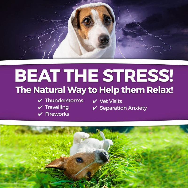 Vital Planet - Calm Soft Chews for Dogs, Promotes Calmness in Stressful Situations with GABA and Natural Herbs - 45 Natural Bacon Flavored Soft Chews - BeesActive Australia