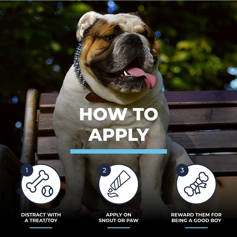 Bulldog Nose Butter & Paw Balm Treatment for Dry, Cracked and Rough Paw & Snout 2oz-Also Paw Moisturizer for Dogs and Protection for Hot Pavement-Dog Nose & Paw Balm,Paw Cream & Snout Soother for Dogs Pack of 1 - BeesActive Australia