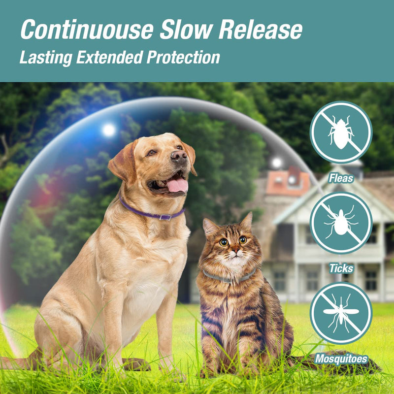 ZingZap Flea &Tick Collar 2-Pack Purple, Protects from Biting Insects, Adjustable Fits Both Dogs&Cats, Built-in Plant Based Formula, Slow Release Lasting Protection, Waterproof - BeesActive Australia