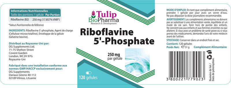 Tulip BioPharma Vitamin B2 (Riboflavin 5'-Phosphate) 250mg 120 Capsules, 3rd Party Lab Tested, High Strength Supplement, Gluten and GMO Free - BeesActive Australia
