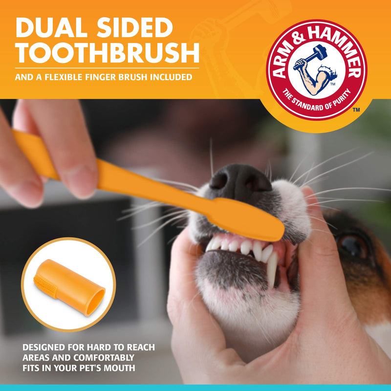 Arm and Hammer Fresh Breath Dental Kit for Pets - Pet Toothbrush and Pet Toothpaste with Baking Soda - Oral Care Dental Kit for Cat and Dog Teeth Cleaning - Toothbrushing Kit for Pets Dogs - Chicken Flavor 1 Pack - BeesActive Australia