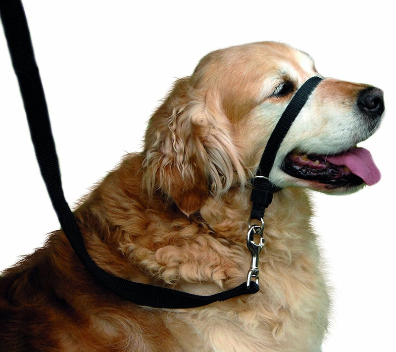 Dog Head Collar, Adjustable and Padded, No-Pull Training Tool for Dogs on Walks, Includes 1 Dog Leash and Free Training Guide, 3 S Black - BeesActive Australia