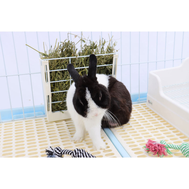RUBYHOME Hay Feeder for Rabbits, Guinea Pigs, and Chinchillas - Minimize Waste and Mess with 9 1/4" x 3 3/4" x 8" Hanging Alfalfa and Timothy Hay Dispenser White - BeesActive Australia