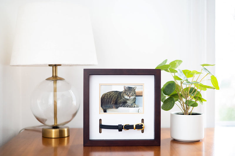 Pearhead Pet Collar Keepsake Picture Frame Espresso Collar Frame - BeesActive Australia