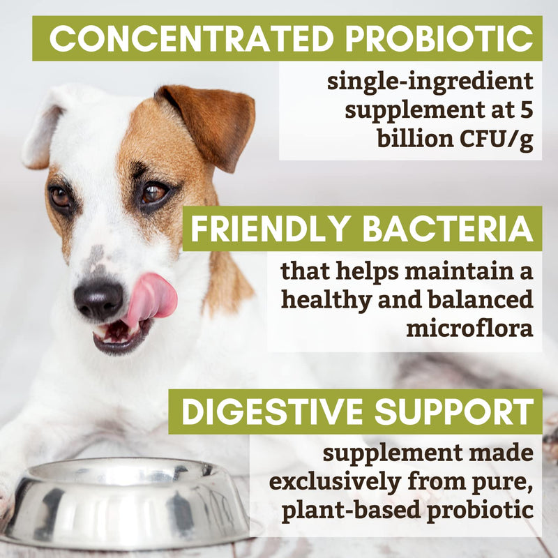 Wholistic Pet Organics Acidophilus Probiotic: Dog Probiotics - Lactobacillus Acidophilus Dog Probiotic Powder for Allergy Relief, Bad Breath, Diarrhea, Gas, Constipation, Yeast 4 oz - BeesActive Australia