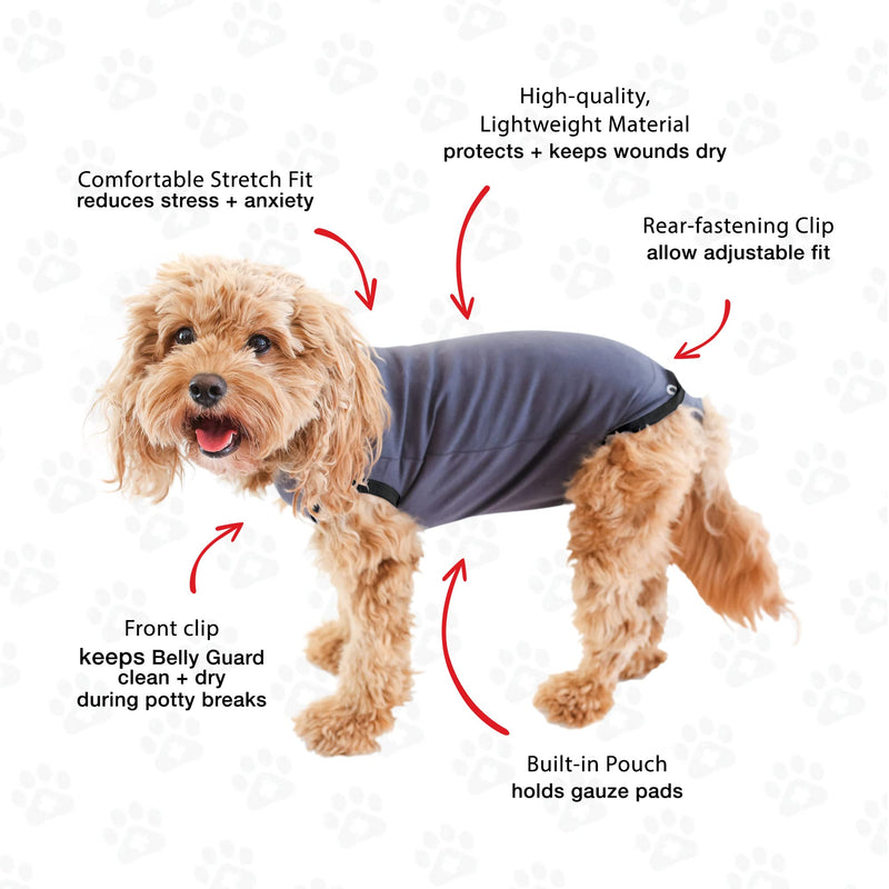 BellyGuard - After Surgery Dog Onesie, Recovery Suit for Dogs, Comfortable Substitute for Cone for Dogs After Surgery,Dog Recovery Suit with Stretch-Fit Cotton Material and Adjustable Rear Flap Medium Grey - BeesActive Australia