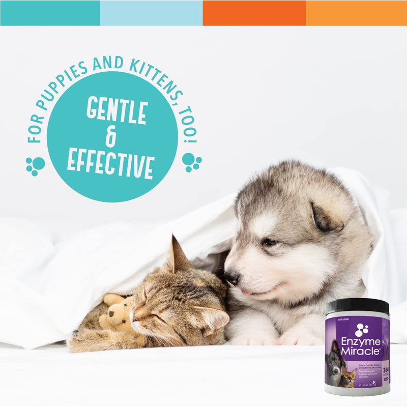 Enzymes for Dogs & Cats - Enzyme Miracle - Systemic & Digestive Enzyme Formula - Powder - 364 Servings - Vegetarian - BeesActive Australia