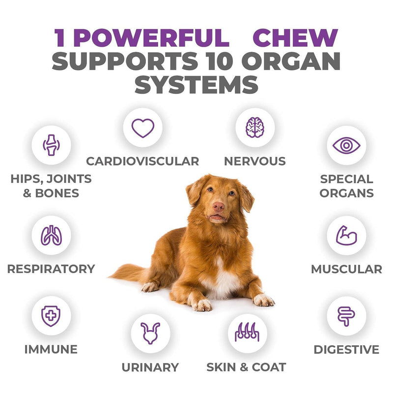 Mighty Petz MAX Dog Multivitamin + Probiotics + Glucosamine Chondroitin + Fish Oil + 15 More! Adult & Senior Dog Supplement Vitamins Chews to Support Hip & Joint, Skin + Coat, Digestion & Immunity - BeesActive Australia