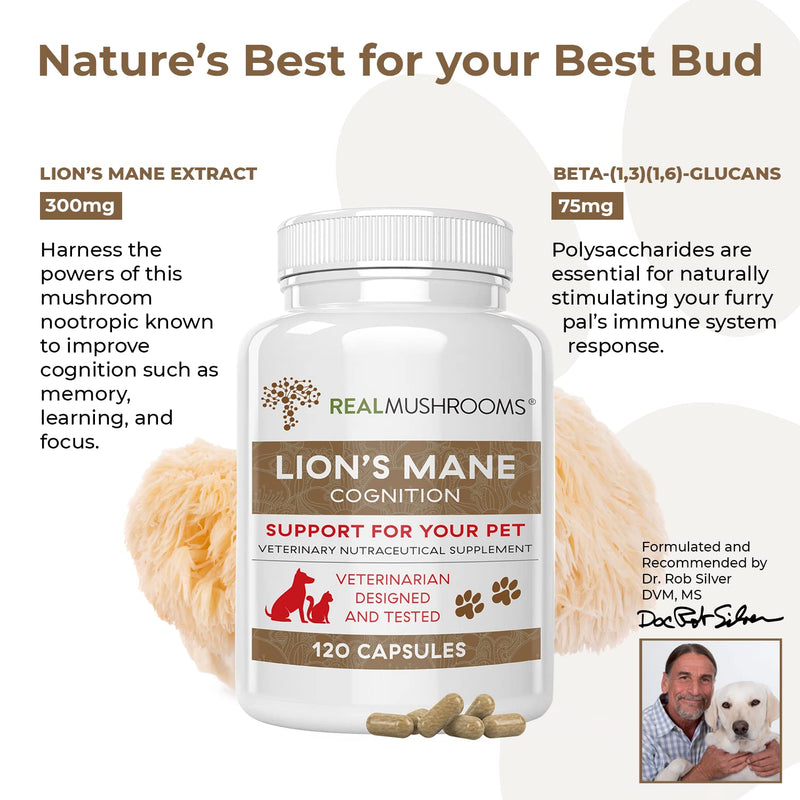 Real Mushrooms 5 Defenders for Pets (90ct) and Lions Mane for Pets (120ct) - Bundle for Immune Strength & Cognition - Vegan, Non-GMO, Gluten-Free, Grain-Free Mushroom Pet Supplements - BeesActive Australia