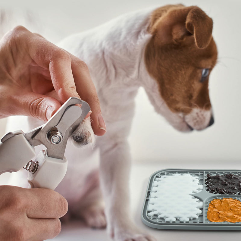 Coomazy Lick Mat for Dog and Cat, Slow Feeder & Non-Slip Design, Boredom and Anxiety Reducer, Suitable for Food, Treats, Yogurt, Peanut Butter and Liver Paste, BPA-Free, Non-Toxic, 2-Packs - BeesActive Australia
