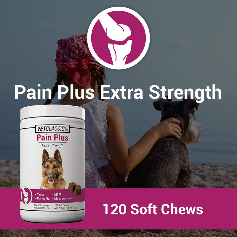 Vet Classics Pain Plus Extra Strength Health Supplement for Dogs 120 Soft Chews - BeesActive Australia
