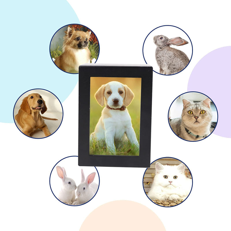 NEWDREAM: Dog Urns for Ashes, pet Urns, Box for Dog Ashes, Pet Ashes Photo Box,Ash Box for Dogs, Wood Keepsake Memorial Urns Black S - BeesActive Australia