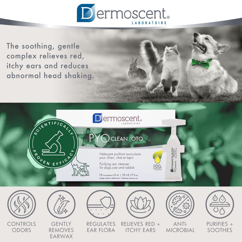 Dermoscent Pyoclean OTO Dog Ear Cleaner - Drops to Stop Head Shaking, Itchy & Waxy Ears - Non-Toxic - Ear Cleaning Solution for Dogs - BeesActive Australia
