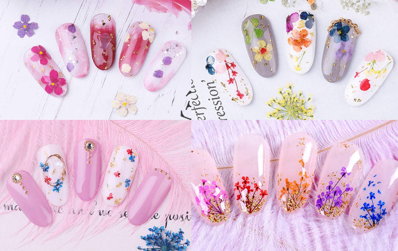 Penta Angel Dried Flowers for Nail Art 2 Boxes 24 Colors 3D Real Natural Dry Starry Leaves Flower Applique Stickers for Tips Manicure Decor - BeesActive Australia