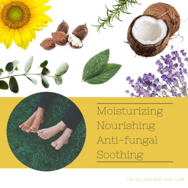 All Natural Foot Cream. Antifungal, Organic, Moisturizing Ingredients for Dry Cracked Heels, Callused Feet, Athletes Foot Balm. Natural Anti Fungal Soft Foot Care with Tea Tree, Peppermint Essential Oils - BeesActive Australia