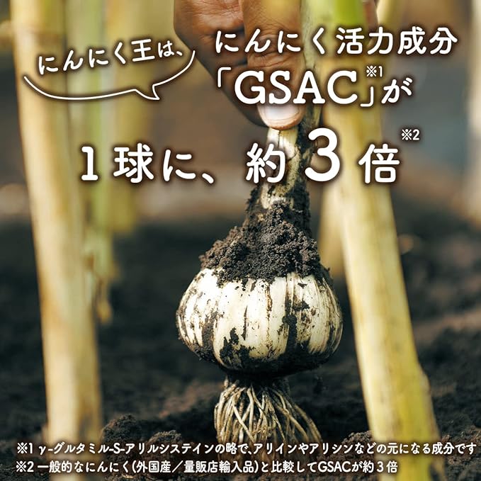 [Health Family] Garlic Ginger, 31 Capsules, Kyushu, Warm Active Ingredient "Gingaol", W Low Odor Formulation, Golden Ginger, Organic "Garlic King", Garlic Vitality Ingredient "GSAC", Ginger Supplement - BeesActive Australia