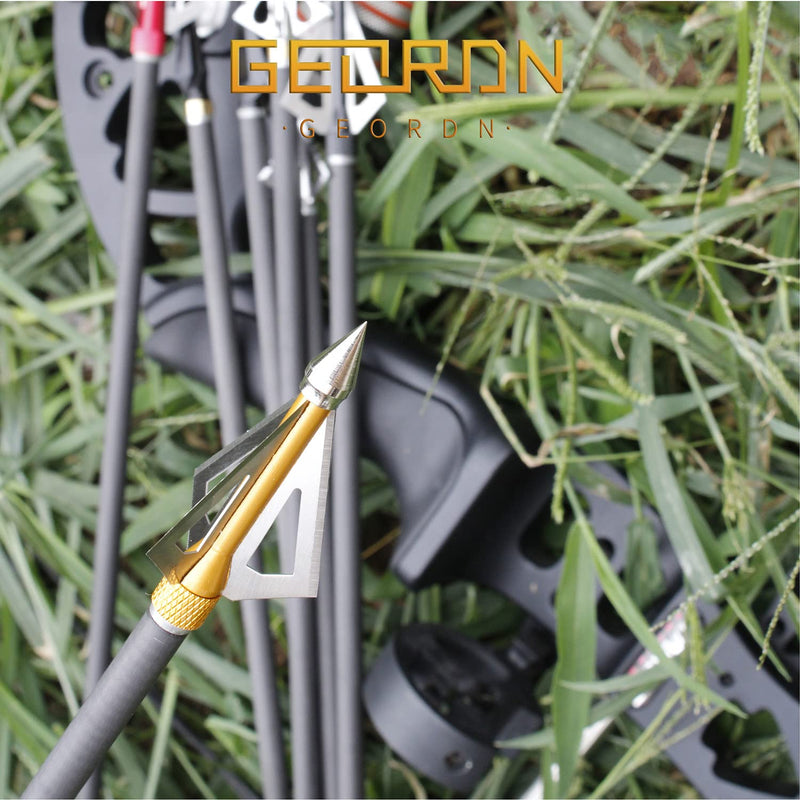 Geordn Hunting Broadheads 6/12PK 3 Fixed-Blades Archery Broadheads 100/125 Grains Screw-in Arrow Heads Arrow Tips Compatible with Traditional Bows and Compound Bow 100 Grains -6PK Gold - BeesActive Australia