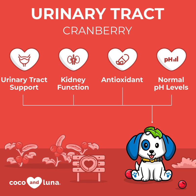 Cranberry for Dogs - Urinary Tract Support, Bladder Support for Dogs, Dog UTI, Bladder Stones, Dog Incontinence Support, Cranberry Supplement for Dogs Tablet 120 Tablets - BeesActive Australia