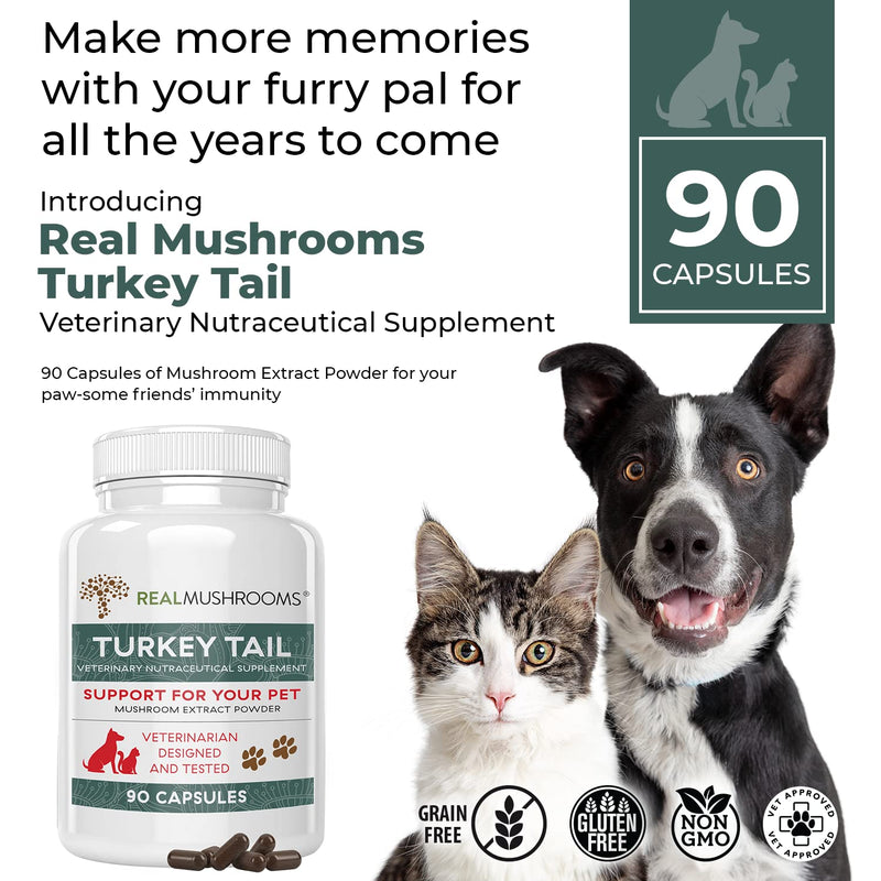 Turkey Tail Pet Support - Dog Multivitamins and Supplements for Immune Support, Gut Health & Wellness - Grain-Free, Gluten-Free, Vet-Approved Dog Supplement (90ct) - BeesActive Australia