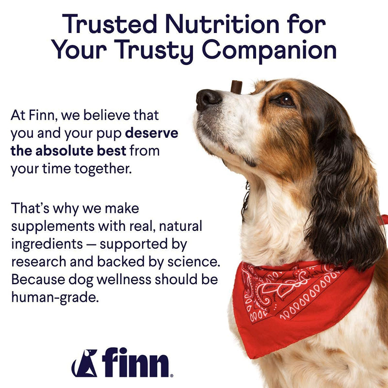 Finn Hip and Joint Supplement for Dogs | Glucosamine, Chondroitin & MSM for Arthritis, Inflammation, and Mobility Support | with Turmeric, BioPerine and B-Vitamins | 90 Soft Chew Treats - BeesActive Australia