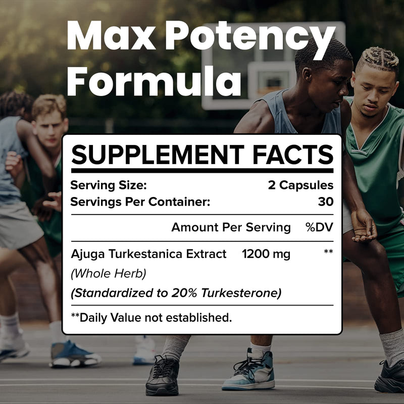 Turkesterone Supplement - 1200mg Ajuga Turkestanica Extract Standardized to 20% Turkesterone,Max Strength for Bodybuilding,60 Vegan Capsules 60 Count (Pack of 1) - BeesActive Australia
