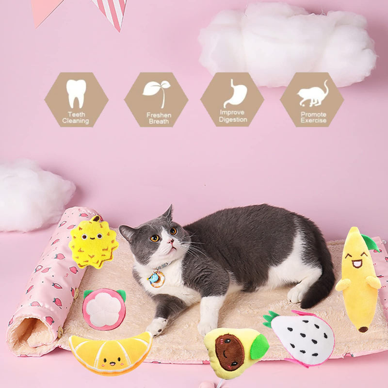 6 Pack Fruit Catnip Toys Chew Bite Resistant Toys Kitten Supplies Interactive Catnip Toys for Indoor Cats Fruit Cat Toy Gift for Cat Lovers Dental Health Chew Toy Plush Catmint Pet Presents Set of 6 - BeesActive Australia